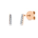 Ohrstecker Rosegold 18kt 0,03 Diamantschmuck mit 10 Diamanten - 2R877